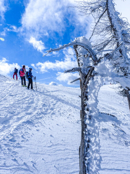 Mehrere Personen mit Schneeschuhen wandern im Bild in Richtung des Kleinen Bosruck in den Kalkalpen.