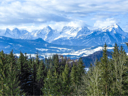Man sieht ein Panorama der Kalkalpen in Österreich im Winter. Im Vordergrund ist Wald zu erkennen, während man im Hintergrund von links nach rechts folgenden Berge sehen kann: Spitzmauer, den Großen Priel und den Kleinen Priel.