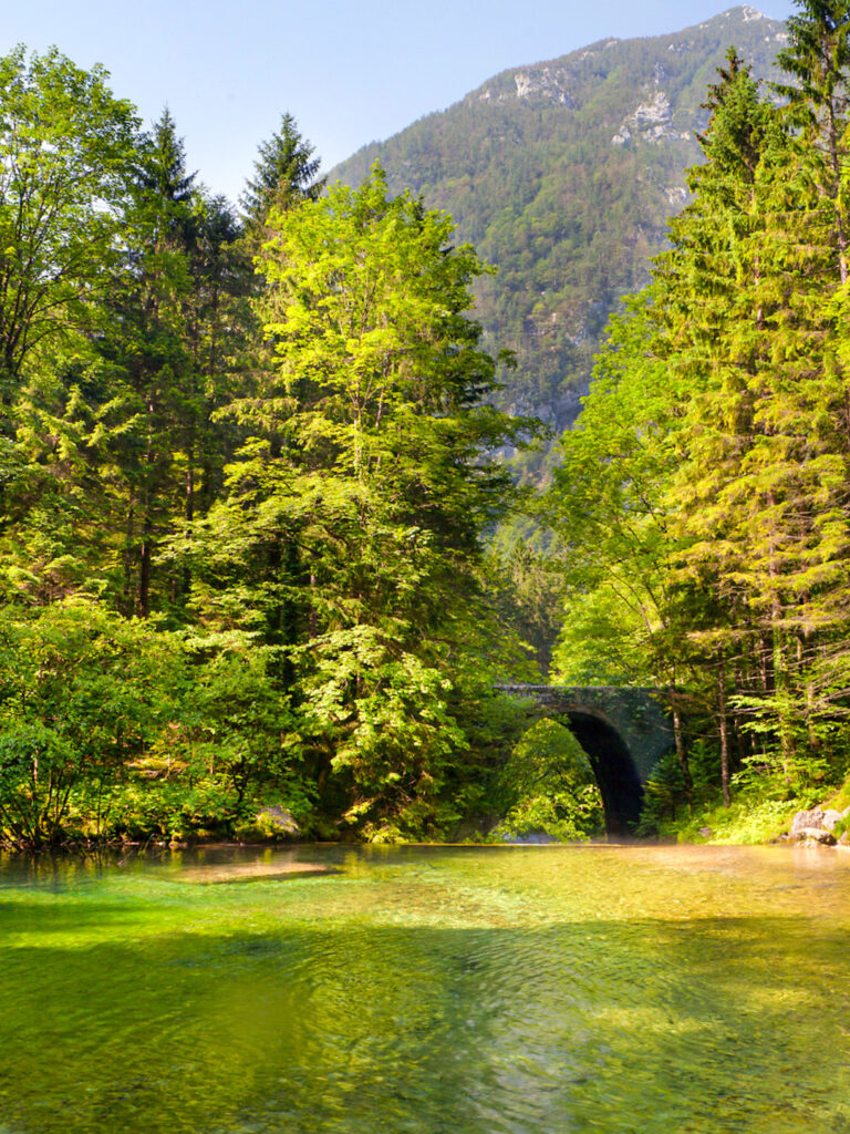 Man sieht einen steinerne Brück über den Fluss im Kamniška Bistrica-Tal in Slowenien. Die Brücke ist halb hinter den dichten Wäldern verborgen, die den Fluss begrenzen und im Zuge einer Wanderreise mit Weltweitwandern erkundet werden können.