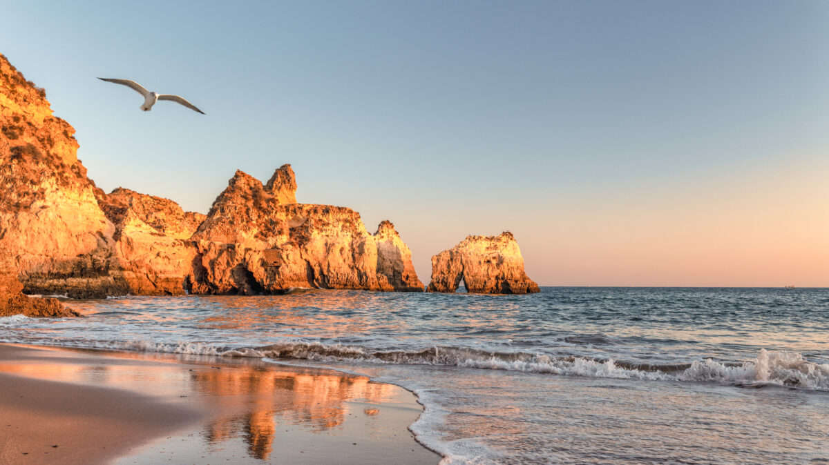 seagull flying over Alvor beach in Algarve, Portugal at sunset