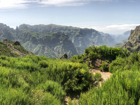 Ein Ausblick über die Gebirgslandschaft von Madeira. Im Vordergrund schlängelt sich ein Wanderweg durch hohes Gras und niedrige Büsche.