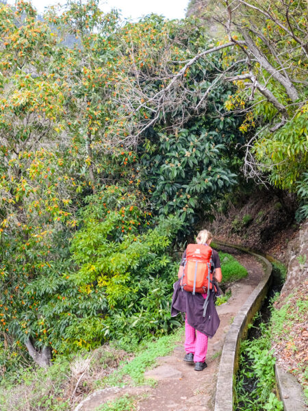 Eine Wanderin mit einem roten Rucksack des Reiseveranstalters Weltweitwandern auf dem Rücken geht einen Wanderweg auf Madeira hinab.