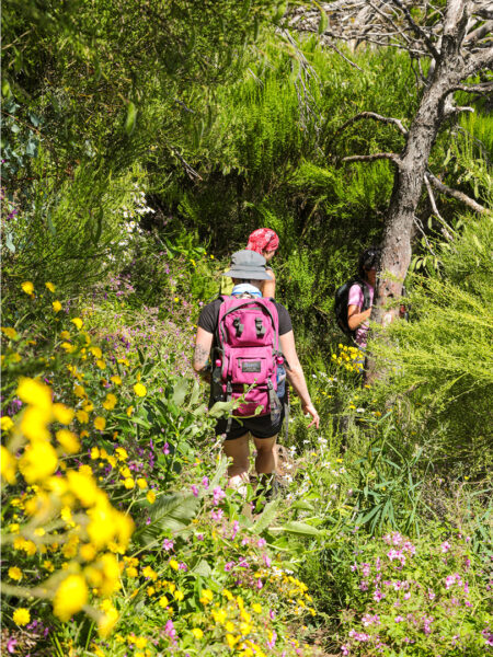 Eine Frau mit Wanderrucksack geht durch ein Feld auf Madeira auf einen Wald zu.