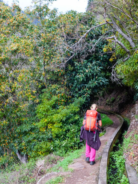 Eine Wanderin folgt einem Weg auf Madeira, im Zuge ihrer Überschreitung der Insel mit Weltweitwandern.