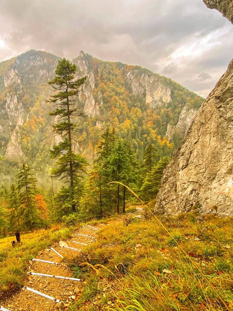 Ein Wanderweg auf der Mala Fatra in der Slowakei. Im Hintergrund sieht man das Berge des Fatra-Tatra-Gebiets, das im Zuge der Wanderreise mit Weltweitwandern besucht wird.