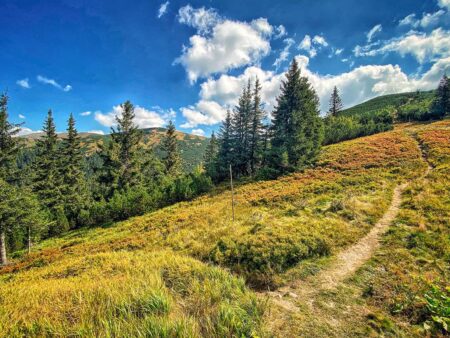 Ein Wanderweg auf der Niederen Tatra, der in Richtung des Berga Durkova führt.