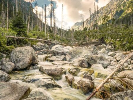 Man sieht einen Fluss in der Hohen Tatra auf dem Weg zu den großen Wasserfällen in der Slowakei.
