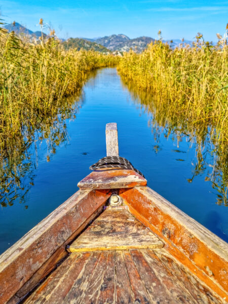 Der Bug eines kleinen Boots bahnt sich seinen Weg durch das Schilf des Skadarsees in Montenegro. Das Foto wurde von einer Person auf Wanderreise im Boot aufgenommen.
