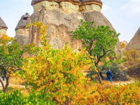 Zwei Wanderer stehen vor einem Felsmassiv im Pasabag-Tal in Kappadonien in der Türkei auf ihrer Wanderreise mit Weltweitwandern.