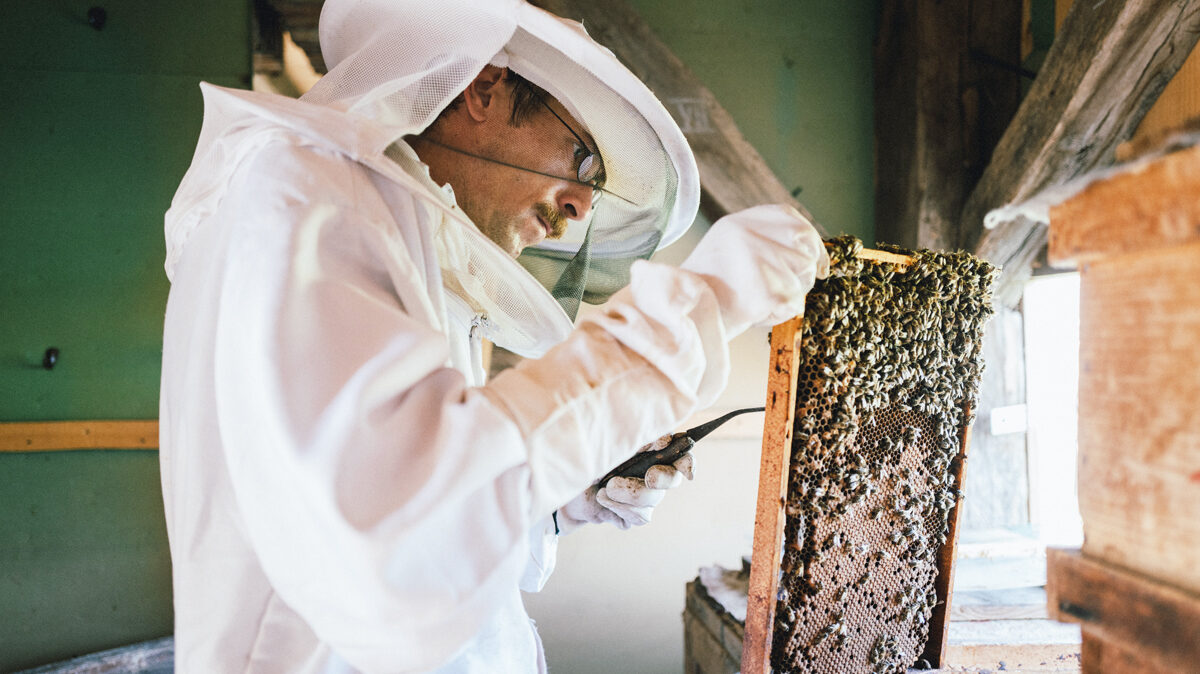 Tag der Bienen bei Weltweitwandern