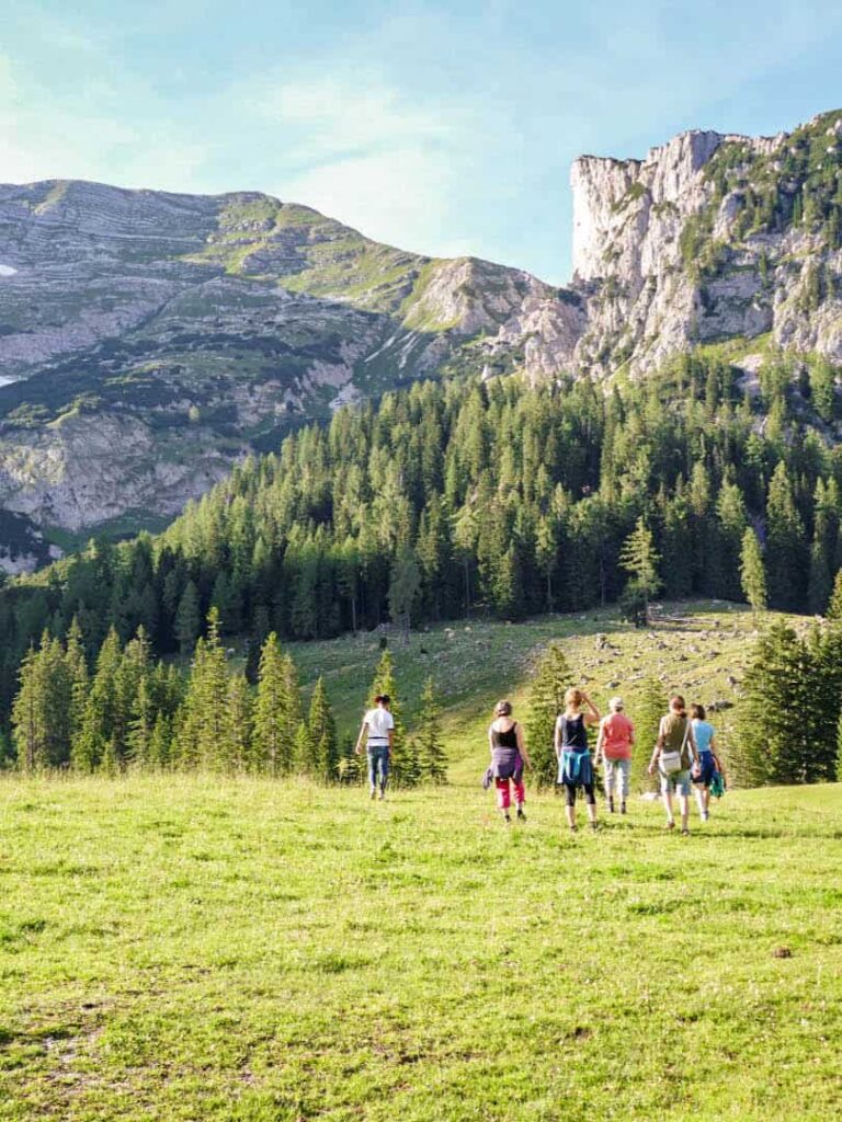 Eine kleine Gruppe auf Wanderreise steht vor dem Panorama des Nationalparks Kalkalpen. Sie stehen im Bild auf einer weitläufigen Almwiese und Hintergrund erhebt sich die Rote Wand im Toten Gebirge.