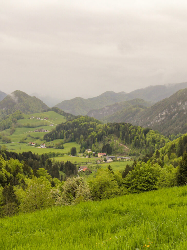 Man sieht einen Ausblick über die Almen in den Kalkalpen in Österreich. In Zentrum des Bildes lässt sich die Villa Sonnwend erkennen.