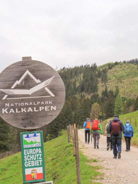 Eine kleine Gruppe auf Wanderreise mit Weltweitwandern, folgt einen Pfad in den Nationalpark Kalkalpen hinein. Sie sind am Weg Weg zum Siebenbrünn (Zickerreith/Hengstpass).