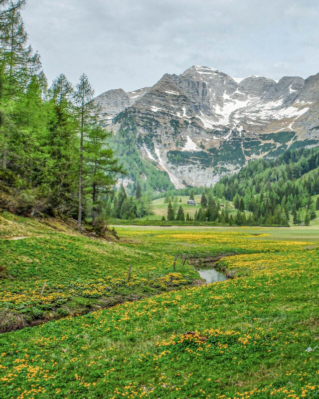 ATG60_Oesterreich_Website_Galerie_1024x1366