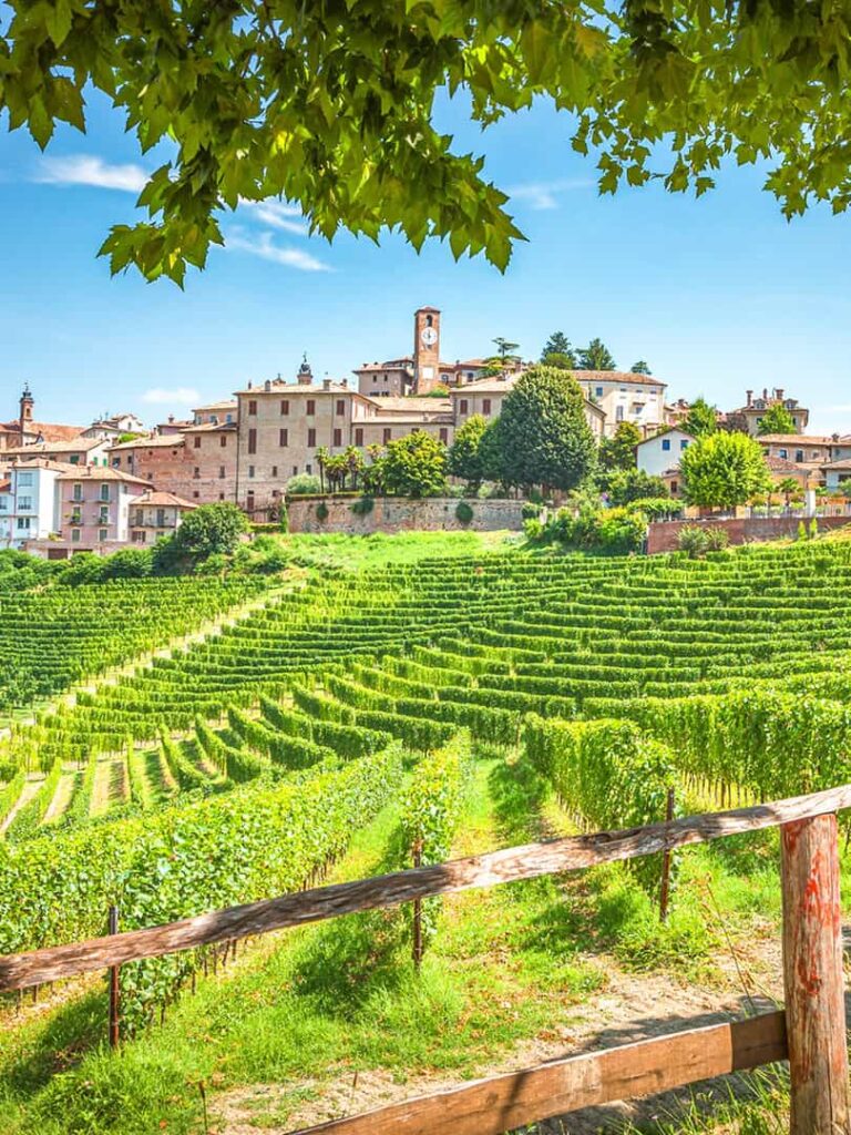 Man sieht Weinreben an einem Hang im Piemont in Italien. Sie erstrahlen im saftigen Grün des Sommers und im Hintergrund kann man die roten Dächer der italienischen Ortschaft Neive, inklusive ihres Glockenturms.