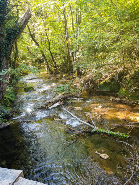 Auf dem Bild ist ein Fluss oder Bach in Rumänien zu sehen. Das Foto wurde auf einem Aussichtspunkt über dem Bach aufgenommen.