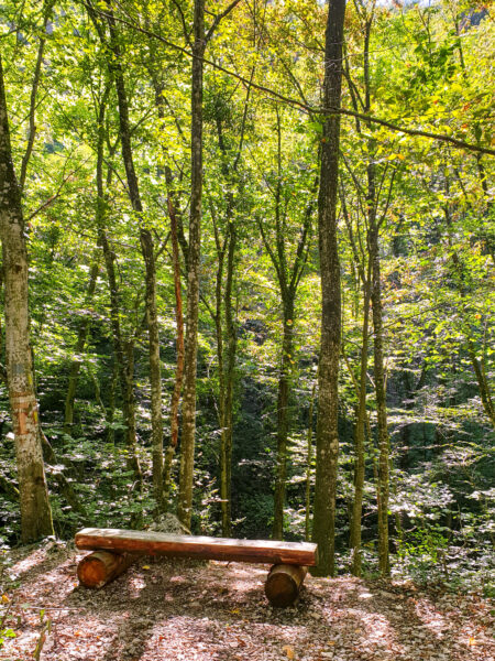 Ein kleiner Rastplatz entlang eines Wanderweges in einem rumänischen Wald.