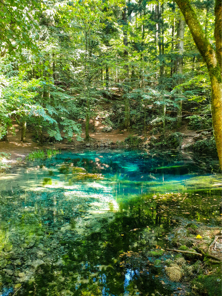 Auf dem Bild ist der sogenannte Ochiul Beiului, ein Farbenprächtiger Teich im Nationalpark Cheile Nerei-Beușnița im Südwesten von Rumänien, zu sehen.