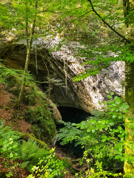 Auf dem Foto sieht man eine der vielen Höhlen des Banater Berglands im Westen von Rumänien.