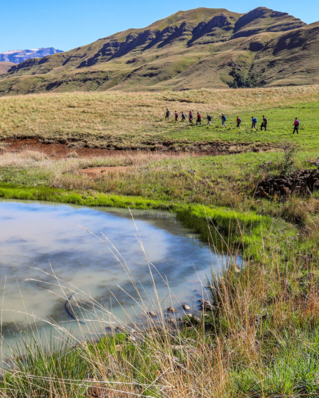 Afrika_Suedafrika_WWW_0656