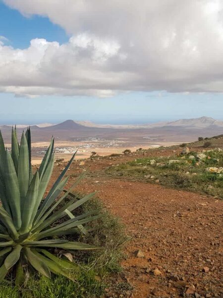 Man sieht eine Landschaftsaufnahme auf der kanarischen Insel Fuerteventura, das dazu einlädt, die weiten der Insel auf Wanderungen zu erkunden. Im Vordergrand sieht man eine Agave.