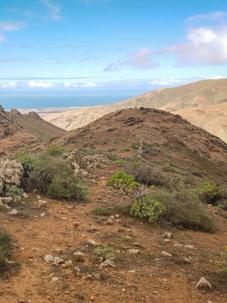 Ein Landschaftsfoto der Insel Fuerteventura. Die Landschaft auf dem Bild wirkt karg und im Hintergrund kann man den Atlantik erkennen.