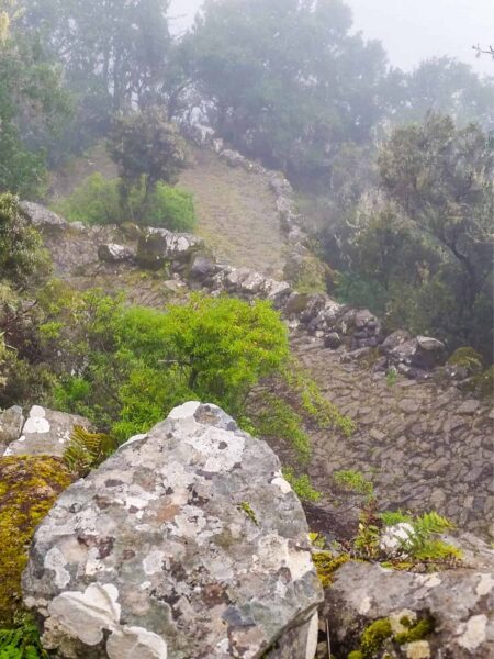 Auf dem Bild sieht man Wanderweg, begrenzt von Felsen auf der kanarischen Insel El Hiero. Neben hängt im Bild über der Szene, die zum Erkunden der Wanderregion im Atlantik einlädt.