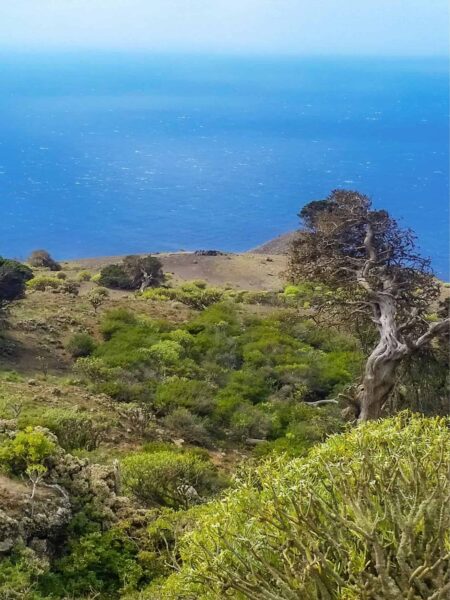 Man sieht einen Küstenabschnitt auf El Hiero, der westlichsten und kleinsten Inesl der Kanaren, die bekannt ist für ihre unberührte Natür und für den nachhaltigen Tourismus der dort betrieben werden kann.