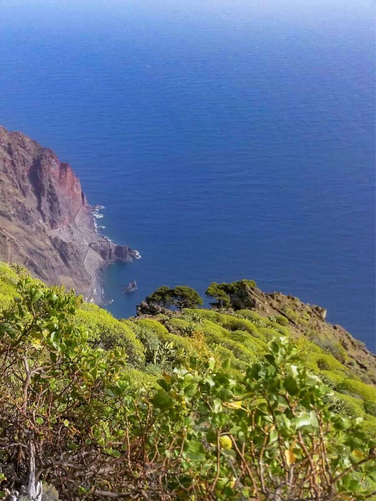 Ein Teil der steilen Küstenlandschfat der kanarischen Insel El Hiero ist auf dem Bild zu sehen. Im Vordergrund kann man üppige Vegetation der Insel erkennen, während im Hintergrund der strahlendblaue atlantische Ozean zu sehen ist. Das Foto wurder aufgenommen von einem der Wanderwege, die die Insel umgeben.
