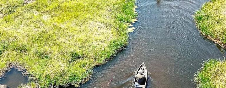 Mehrere kleine Boote treiben auf einem der Arme des Okavango-Deltas. Darin sitzen Reisenden auf einer Gruppenreise durch Namibia und Botswana.