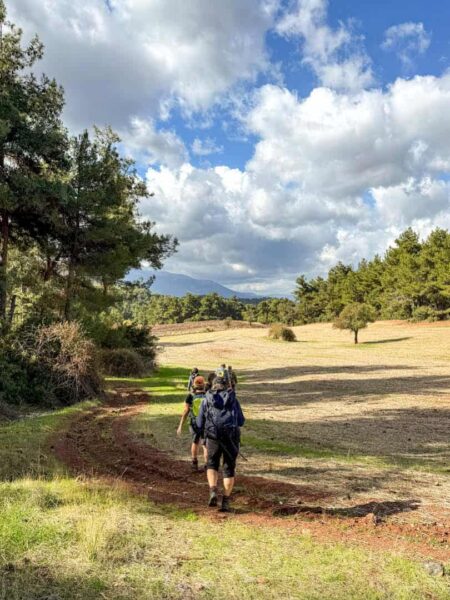 Eine kleine Gruppe auf einer Wanderreise fogt einem Weg durch die Landschaft der Türkei. Links von ihnen kann man einen Wald erkennen, während rechts von ihnen eine weite Steppe zu erkennen ist.