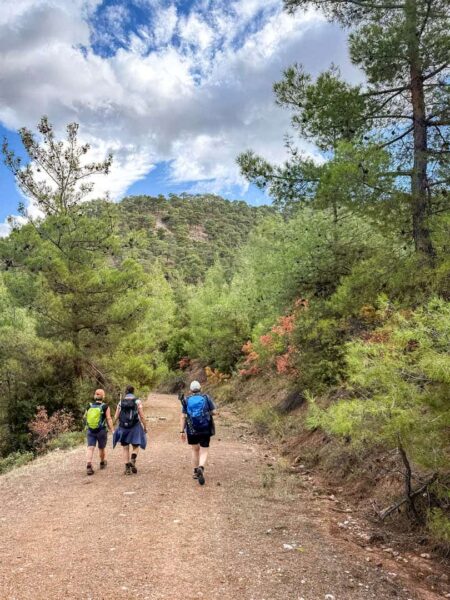 Drei Personen auf einer Wanderreise gehen einen Forstweg am Hang eines Hügels in der Türkei entlang. Ihr Guide von Weltweitwandern hat das Foto von ihnen aufgenommen.