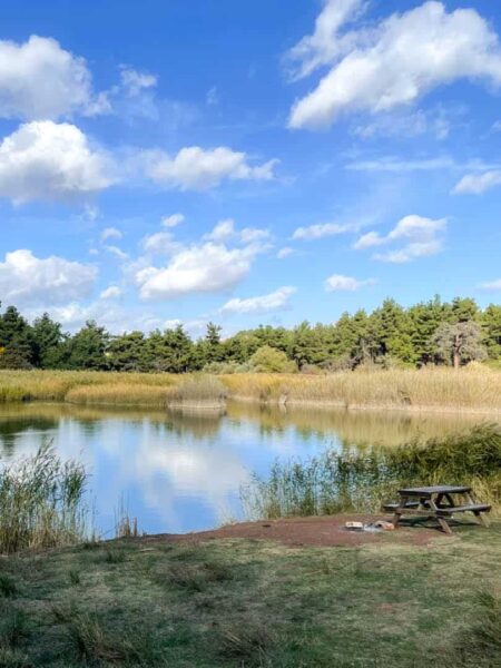 Auf dem Bild sieht man einen kleinen See oder Teich in der Türkei. Vor dem Teich steht ein kleiner Picknicktisch, an dem die Wandereisenden von Weltweitwandern eine Pause machen können.