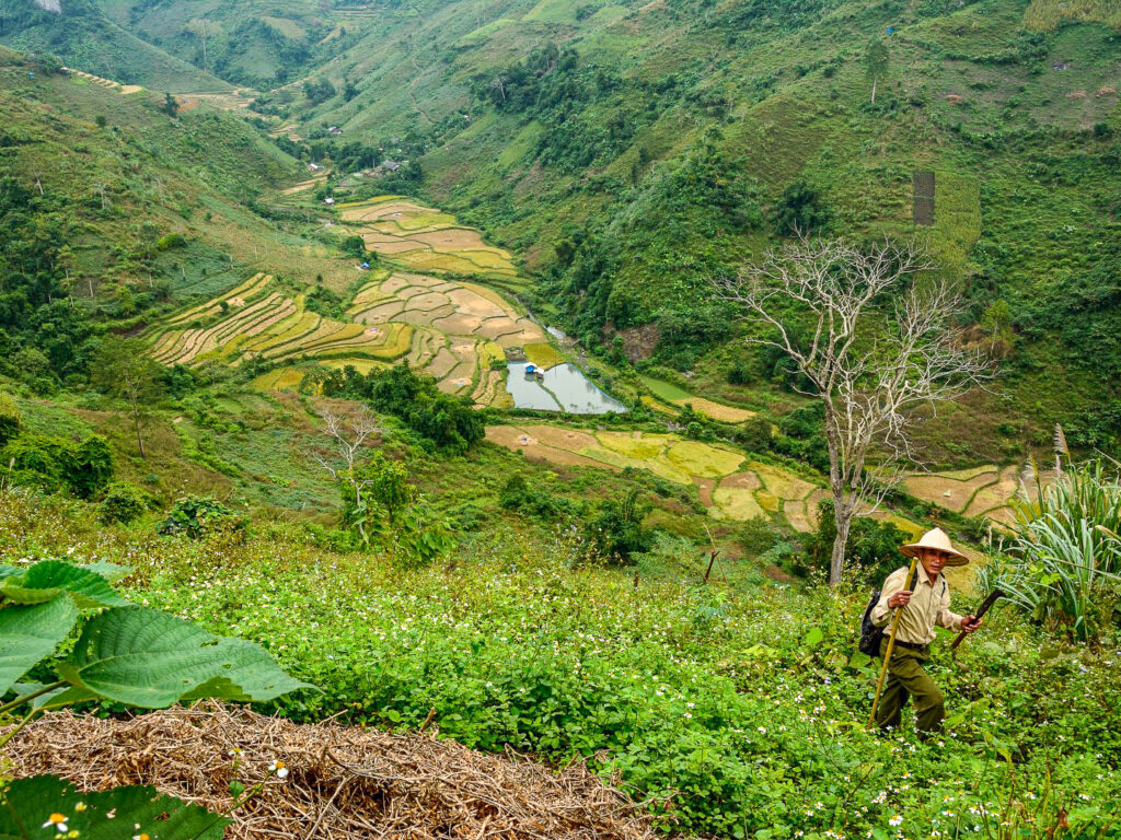 Vietnam2013