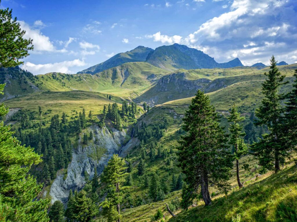 Gjeravica