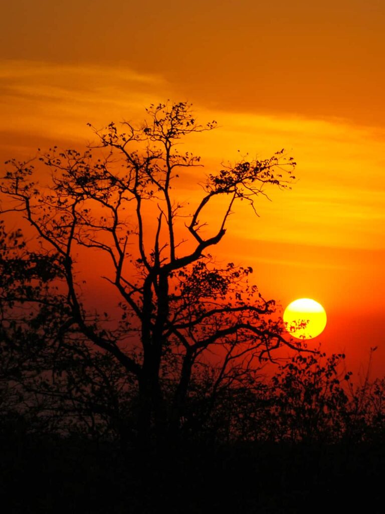 Safari und Trekking in Südafrika