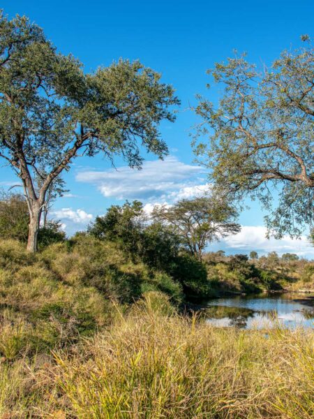 Safari und Trekking in Südafrika