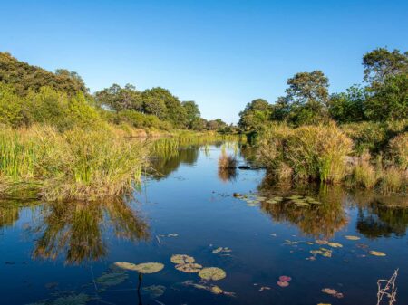 Safari und Trekking in Südafrika