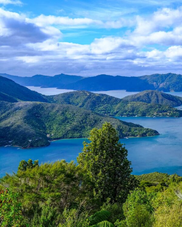 Neuseeland Blick auf Berge - Wandern Natur Neuseeland