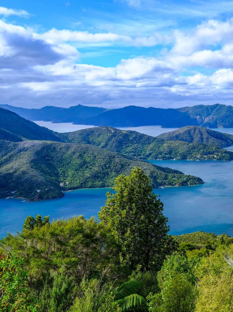 Neuseeland Blick auf Berge - Wandern Natur Neuseeland