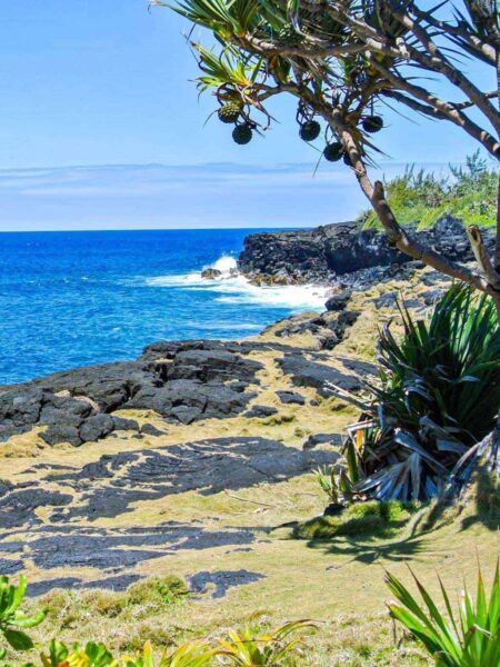 Küste auf La Reunion