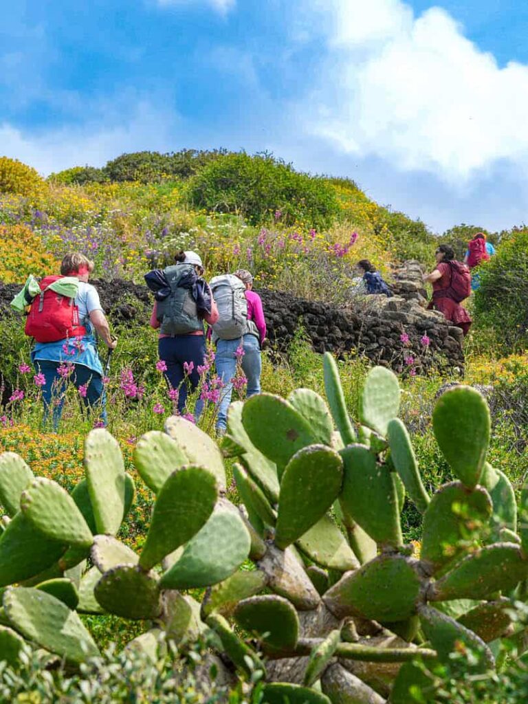 Eine kleine Gruppe auf Wanderreise folgt ihrem erfahrenen Local Guide von Weltweitwandern entlang eines Wanderweges auf Sizilien.
