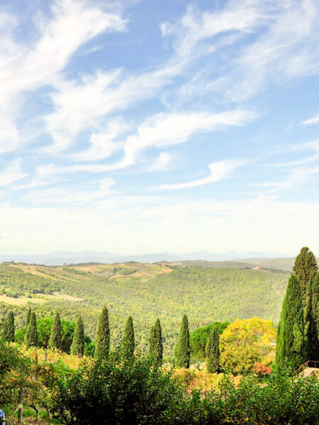 Man sieht ein Landschaftsfoto des Toskana von einem Hügel aus. Im Vordergrund kann man einige Zypresssen und andere Bäume erkennen, während sich im Hintergrund die Hügellandschaft der Region ausbreitet.