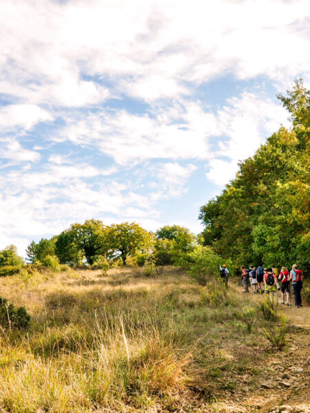 Ein kleine Gruppe wandert durch ein mit wenigen Bäumen bepflanzten Region in der Toskana.