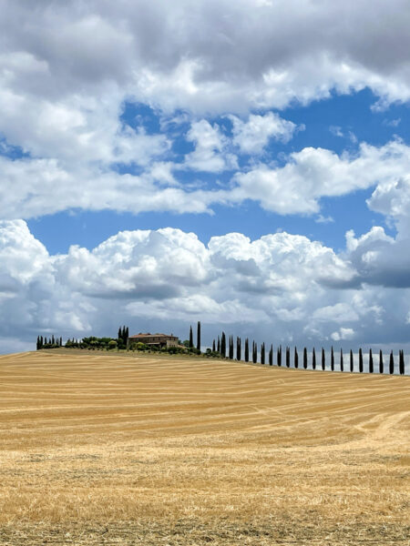 Eine Landschaftsaufnahme der Toskana. Unter einem blauen Himmel sieht man ein weites Feld, sowie eine Reihe an Zypressen, die auf dem Kamm eines Hügels zu sehen sind.