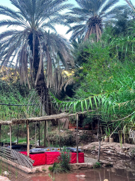 Ein Bild einer Oase im Paradise Valley in Marokko. Es zeigt einen hölzernen Unterstand umgeben von Palmen und anderen Bäumen, die zur Rast in der Region einladen.