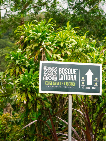 Man sieht ein Schild entlang einer Wanderroute, das in die Richtung eines der Nationalparks von Costa Rica weist. Dahinter kann man Teile des Dschungel des südamerikanischen Landes erkennen.