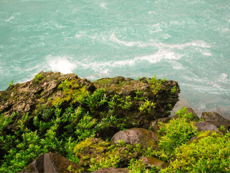 Man sieht eine schroffe Felsformation an der Küste von Costa Rica. Die Wellen brechen gegen den Fels und einige Büsche leuchten grün aus dem Bild hervor. Das Foto ist von oben aufgenommen, vermutlich von einem Wanderweg hinab, den man auch auf einer Wanderreise mit Weltweitwandern begeht.