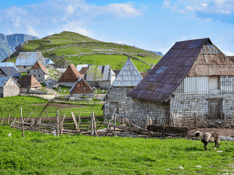 Traditionelles Bergdorf Lukomir mit Steinhäusern und grünen Weiden im Dinarischen Gebirge – ursprüngliches Landleben und authentische Begegnungen auf einer Wanderreise mit Weltweitwandern.