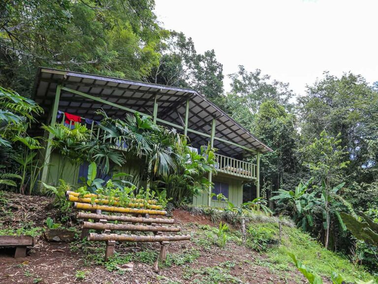 Eine nachhaltige Regenwald-Lodge eingebettet in üppige, tropische Vegetation in Costa Rica. Die einfache, naturnahe Unterkunft steht für umweltbewussten Aktivurlaub und authentisches Reisen abseits der Massen.
